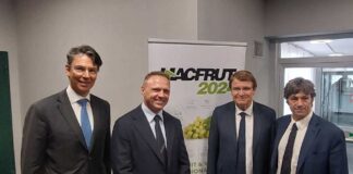 El sector hortofrutícola de todo el mundo se reúne en Macfrut 2024