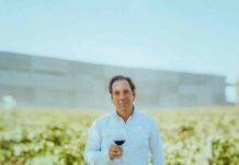 En el día mundial del Malbec, 10 tips para elegir un buen vino 