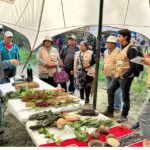 Encuentro regional de agroecología reunió a más de 70 campesinos en Hualqui
