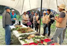 Encuentro regional de agroecología reunió a más de 70 campesinos en Hualqui