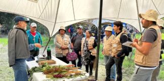Encuentro regional de agroecología reunió a más de 70 campesinos en Hualqui