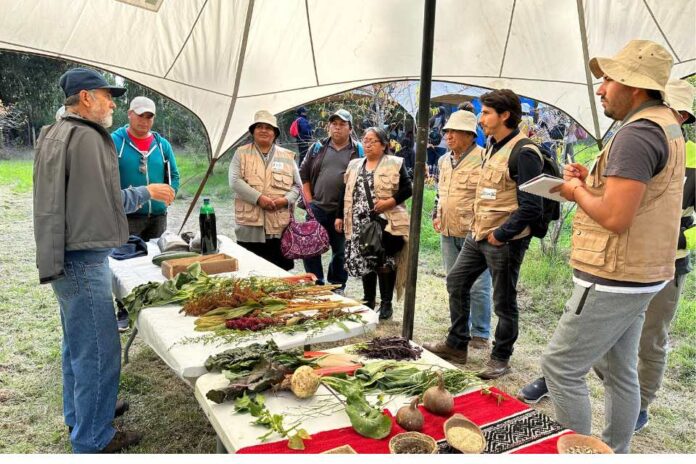 Encuentro regional de agroecología reunió a más de 70 campesinos en Hualqui