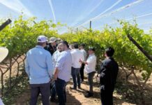 Frutas de Chile presente en Global Grape Summit en Hermosillo