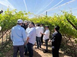 Frutas de Chile presente en Global Grape Summit en Hermosillo