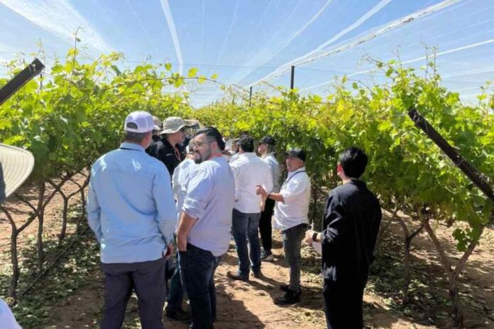 Frutas de Chile presente en Global Grape Summit en Hermosillo