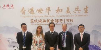 Frutas de Chile y Sichuan Port and Shipping Investment Group Co. Ltd. firman importante acuerdo de colaboración para potenciar comercio de frutas