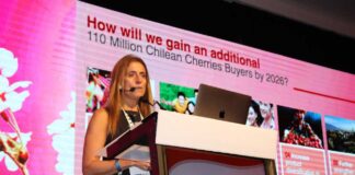 Industria de la cereza chilena celebra una buena temporada y se prepara para enfrentar el desafío de crecer