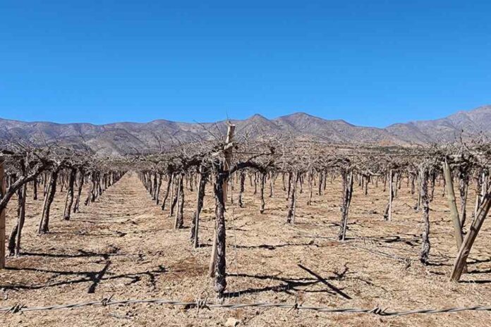 Zonas productivas sin agua en Coquimbo: dirigentes y regantes acuerdan presionar por medidas concretas para sobrevivir la sequía