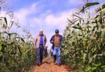 Ministro Valenzuela resalta esfuerzos para apoyar a los agricultores afectados por la sequía en la región de Coquimbo