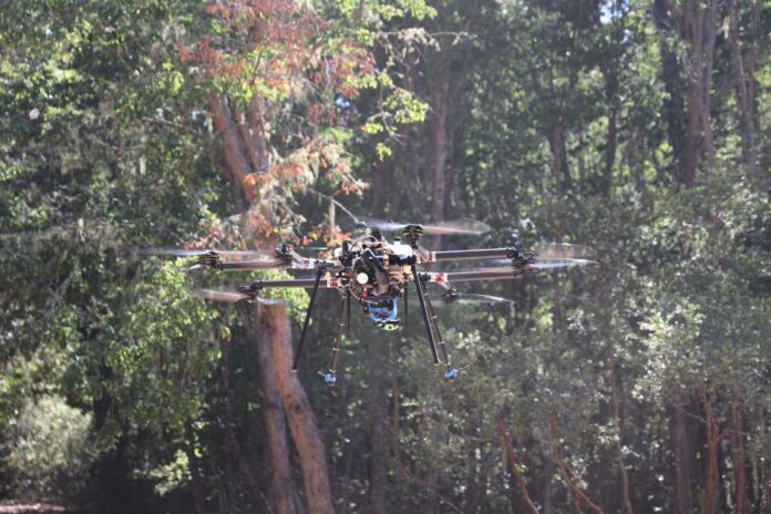 Drovid Technologies Revoluciona la Protección Forestal con Tecnología de Vanguardia en Chile