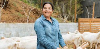 Productoras del Limarí impulsan la “Ruta del Queso de Cabra” para estimular el turismo y las ventas locales