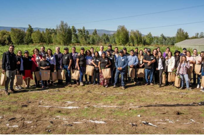 Productores de INDAP Arauco concretan primera venta de hortalizas a Sodexo