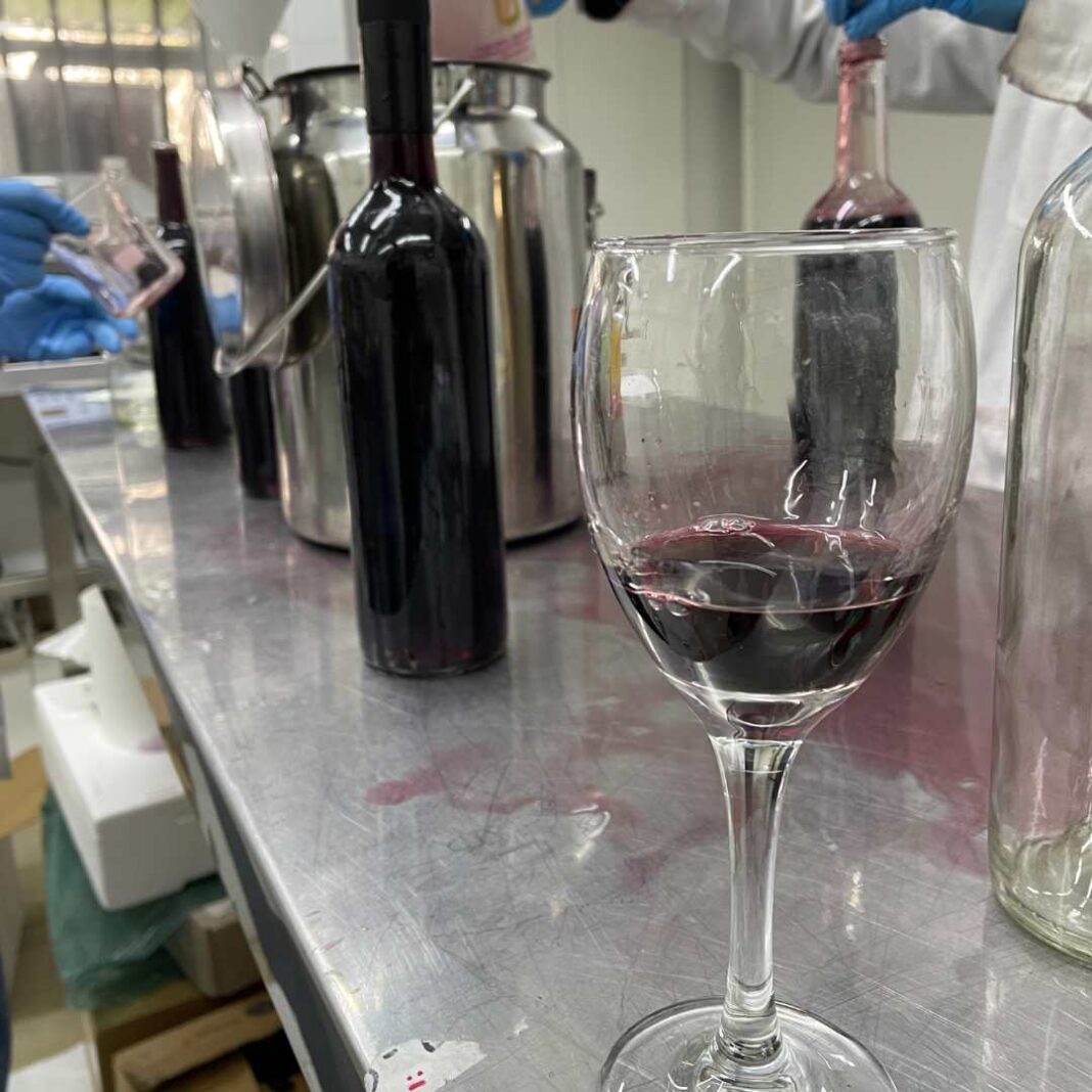 Proyecto FONDEF: científicos chilenos producen vinos con menos grados alcohólicos