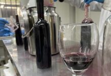 Proyecto FONDEF: científicos chilenos producen vinos con menos grados alcohólicos