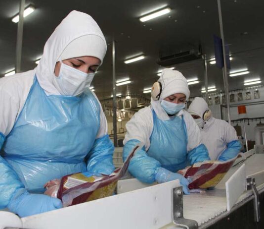 SAG logra apertura del mercado paraguayo para exportación de carne y subproductos avícolas  