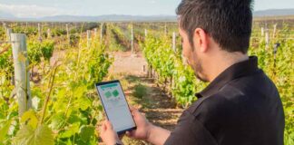 Tecnología y la agricultura unidas para el cuidado del agua