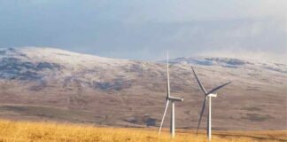 Transición energética: Los riesgos que las empresas deben considerar antes de dar el gran paso a energías limpias