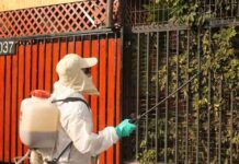 Tras la detección de ejemplares de la mosca de la fruta en San Bernardo comienza campaña de erradicación