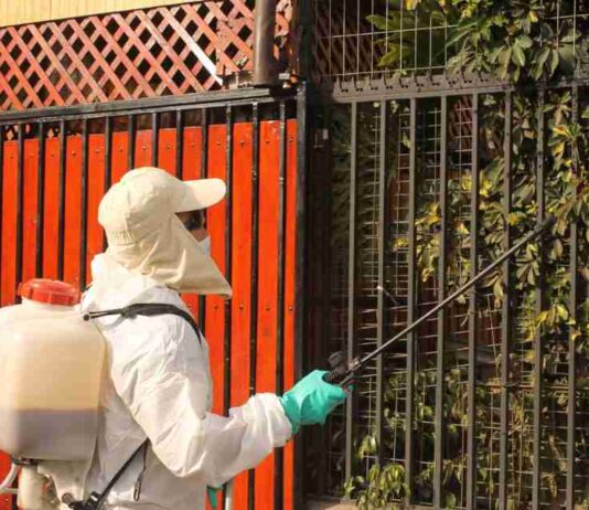 Tras la detección de ejemplares de la mosca de la fruta en San Bernardo comienza campaña de erradicación