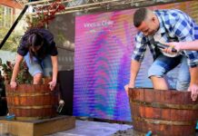 Vendimia Fest 2024: más de 40 viñas de los distintos valles vitivinícolas del país se preparan para la gran fiesta en torno al vino