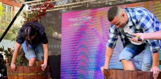 Vendimia Fest 2024: más de 40 viñas de los distintos valles vitivinícolas del país se preparan para la gran fiesta en torno al vino