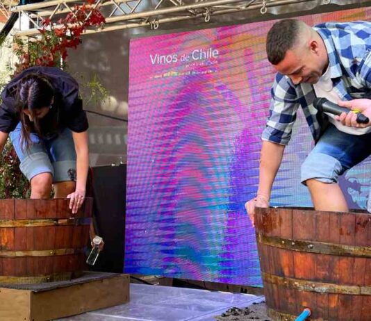 Vendimia Fest 2024: más de 40 viñas de los distintos valles vitivinícolas del país se preparan para la gran fiesta en torno al vino