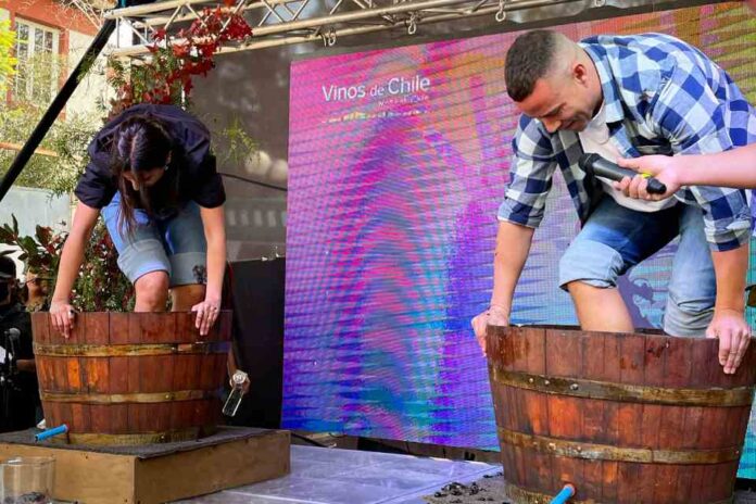 Vendimia Fest 2024: más de 40 viñas de los distintos valles vitivinícolas del país se preparan para la gran fiesta en torno al vino