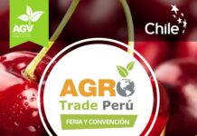 AGROTRADE PERÚ 2024 PONE FOCO EN EL RECAMBIO VARIETAL Y NUEVOS CULTIVOS