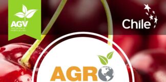 AGROTRADE PERÚ 2024 PONE FOCO EN EL RECAMBIO VARIETAL Y NUEVOS CULTIVOS