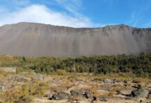 Avances en el desarrollo Plan de Acción Regional de Cambio Climático: Comité Regional de Cambio Climático y talleres