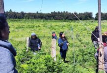 Capacitación sobre buenas prácticas agrícolas y tecnología solar impulsa el desarrollo sostenible en la ganadería del Biobío