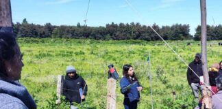 Capacitación sobre buenas prácticas agrícolas y tecnología solar impulsa el desarrollo sostenible en la ganadería del Biobío