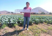 Comisión Nacional de Riego anuncia fomenta eficiencia hídrica mediante concurso dirigido a cooperativas 