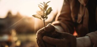 Consejo Directivo por la Fruticultura Sustentable refuerza Hoja de Ruta para cambiar el paradigma de la agricultura regional y expandirla a nuevos mercados