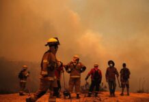 Experto analiza las claves para salvar vidas en los incendios