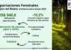 Exportaciones forestales de la Región del Biobío disminuyeron 10,2% en el trimestre enero-marzo de 2024