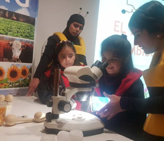 Feria Apícola de Llanquihue: Principales alcances de la nueva ley apícola fueron revisados por SAG Los Lagos