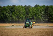 Financiamiento a la agricultura: Una inversión en el futuro de la nutrición