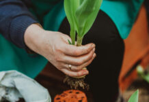 Fortalece Pyme Los Ángeles impulsa empoderamiento de mujeres en el sector agrícola