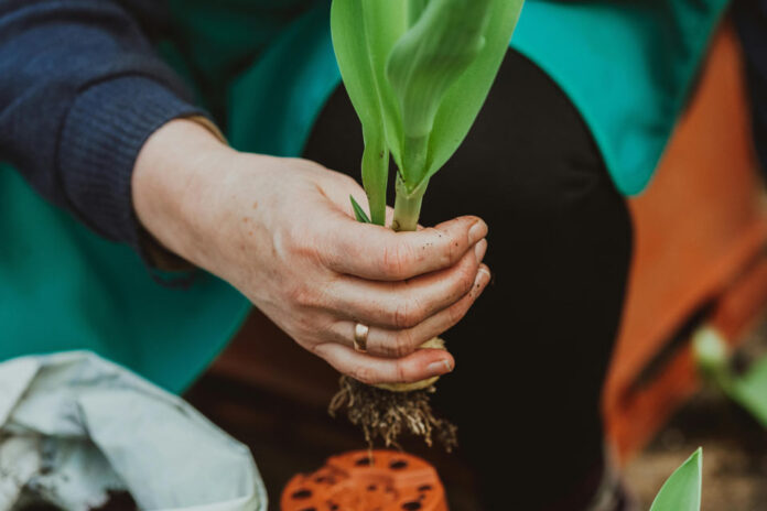 Fortalece Pyme Los Ángeles impulsa empoderamiento de mujeres en el sector agrícola