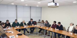 Fruteros piden entregar al SAG mayores herramientas legales que permitan combatir el ingreso ilegal de productos agrícolas