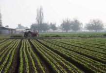 INDAP llama a agricultores del Biobío a postular a programa de recuperación de suelos agropecuarios