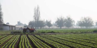 INDAP llama a agricultores del Biobío a postular a programa de recuperación de suelos agropecuarios