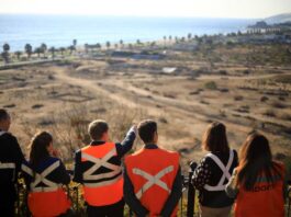 Las Salinas adjudica licitación internacional para última  etapa de saneamiento de suelos en Viña del Mar 