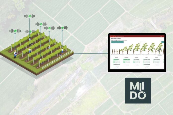 MIIDO: Revolucionando la Agricultura con Tecnología Basada en Voz