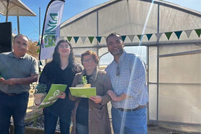 Más del 50% de beneficiarios de proyecto de huertas urbanas de INIA ya cosechan sus propios alimentos