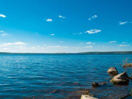 Mirador del Lago: Empresa de conservación ambiental lanza proyecto de inversión ecológica en Lago Todos Los Santos