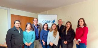 Programa Territorial Integrado de la Carne Bovina en Los Lagos impulsa al sector mediante alianza interdisciplinaria
