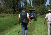 SAG Biobío llama a agricultores/as a postular a concursos del Programa Recuperación de Suelos