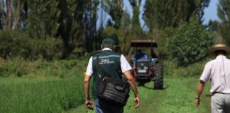 SAG Biobío llama a agricultores/as a postular a concursos del Programa Recuperación de Suelos